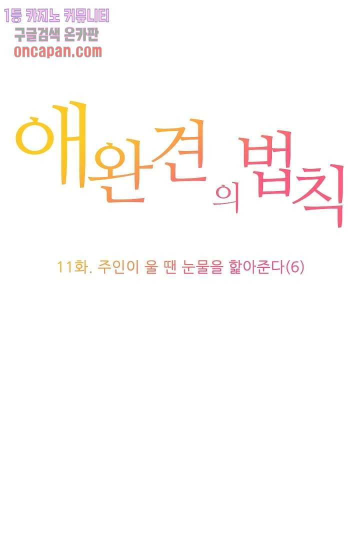 애완견의 법칙 11화 - 웹툰 이미지 1