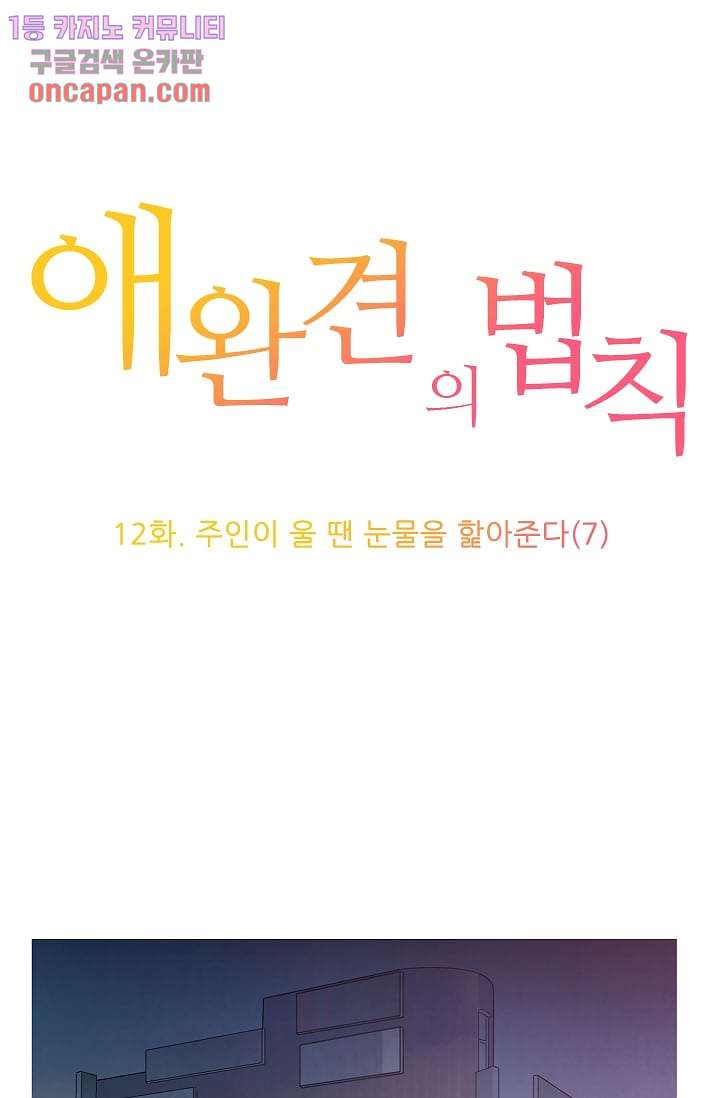 애완견의 법칙 12화 - 웹툰 이미지 1