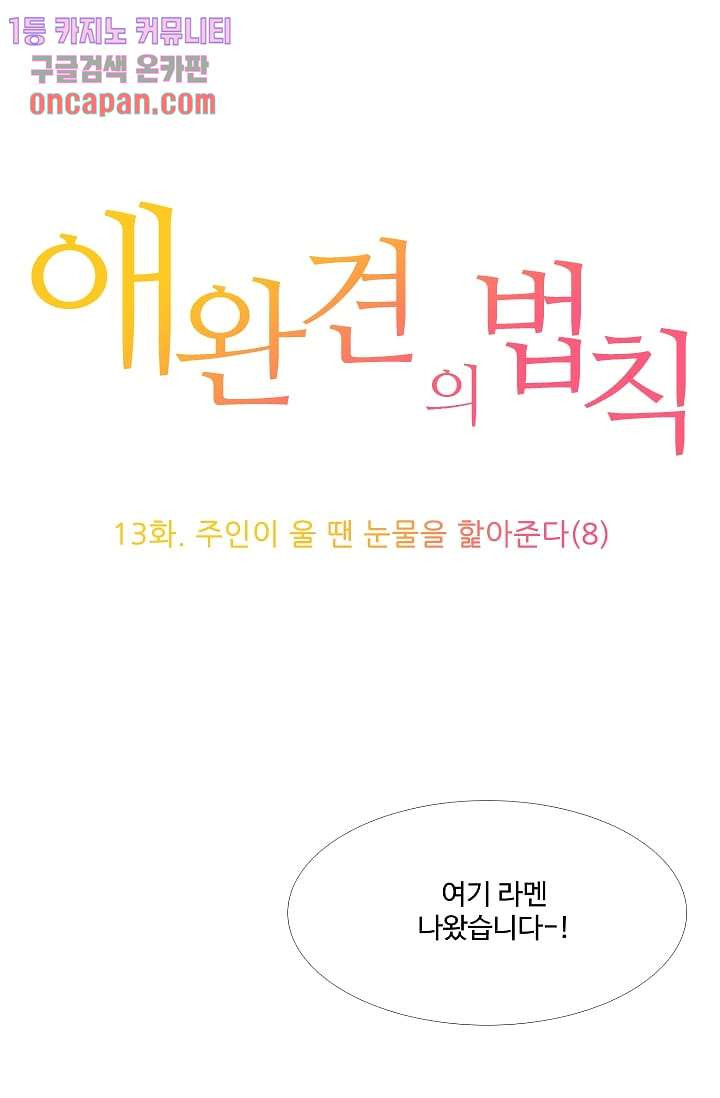 애완견의 법칙 13화 - 웹툰 이미지 1