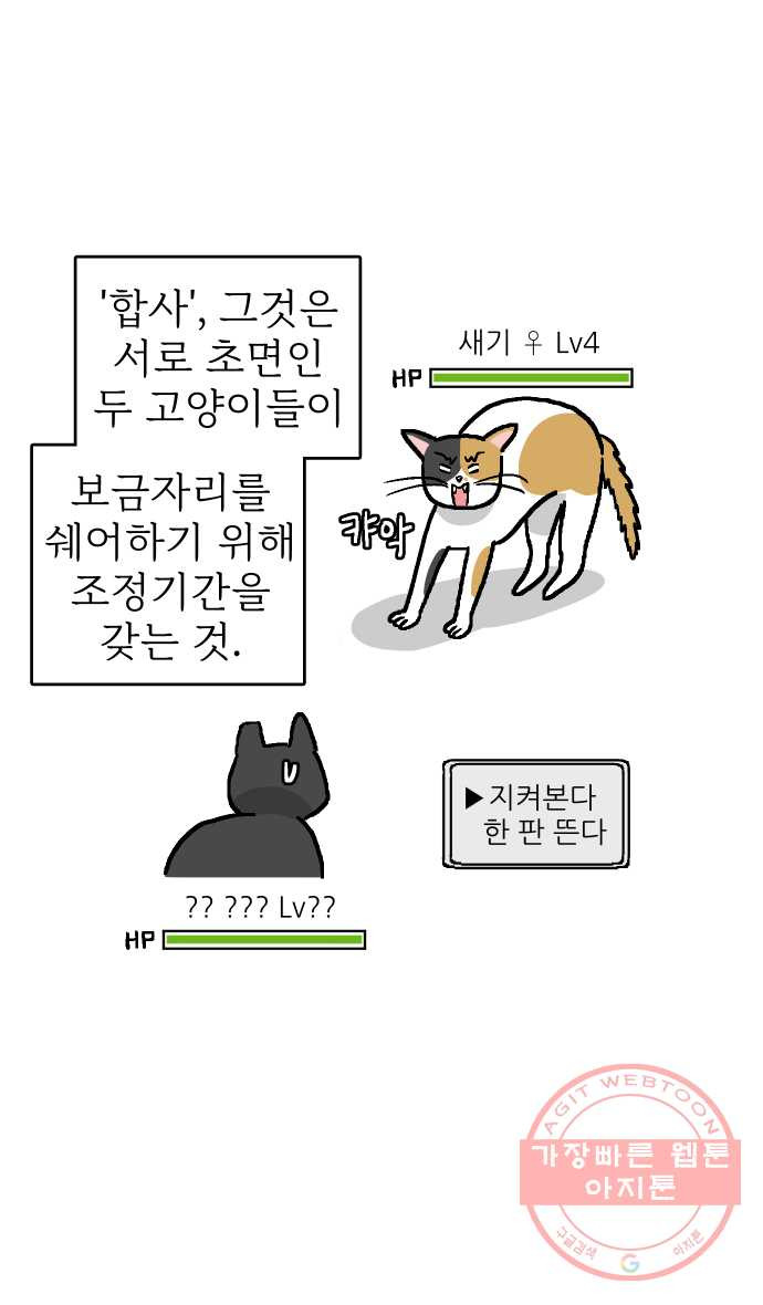 애옹식당 4화 너의 이름은?! - 웹툰 이미지 2