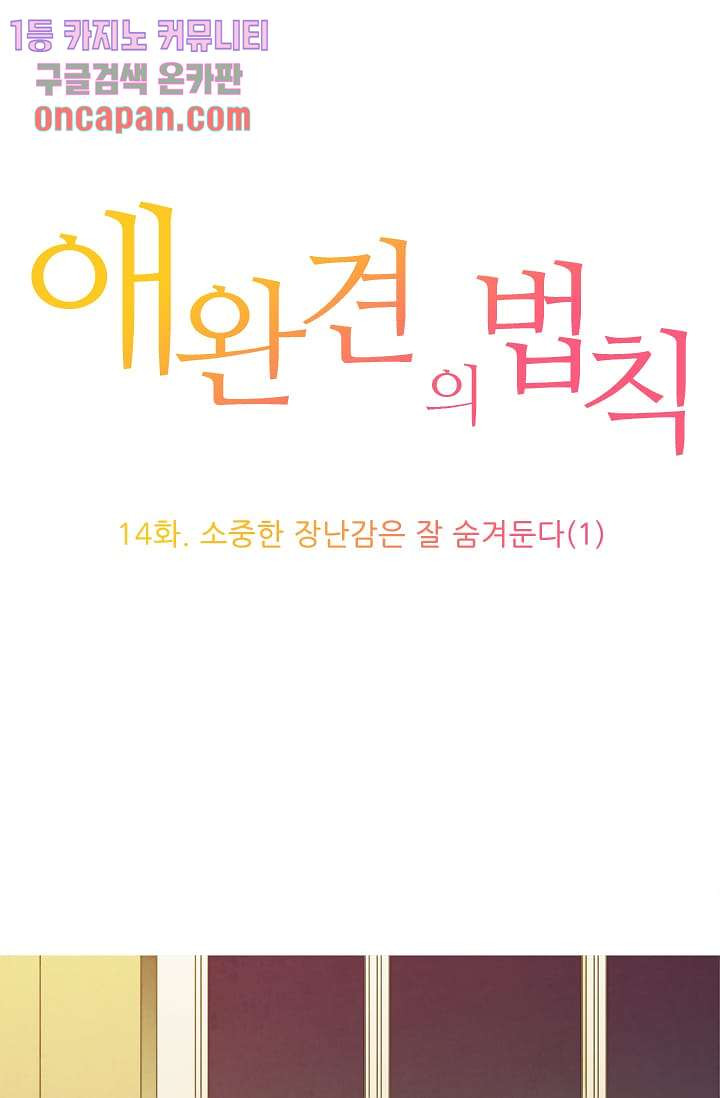 애완견의 법칙 14화 - 웹툰 이미지 1