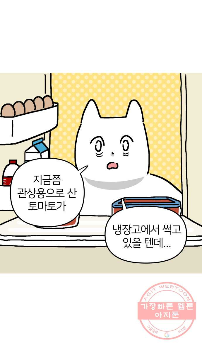 애옹식당 5화 또 건강식?! - 웹툰 이미지 40