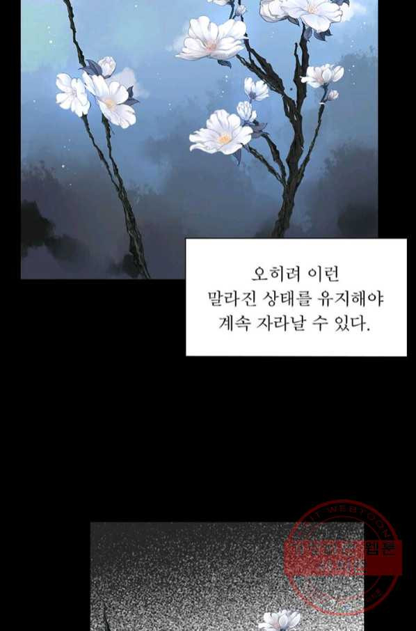 메리 수 50화 - 웹툰 이미지 54