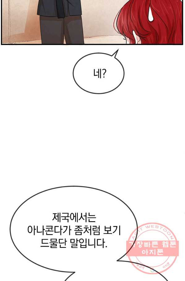 레이디 스칼렛 38화 - 웹툰 이미지 30