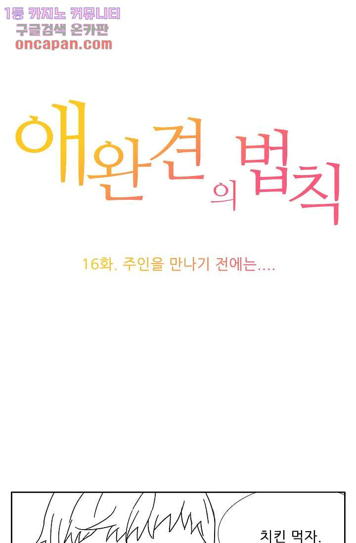 애완견의 법칙 16화 - 웹툰 이미지 1