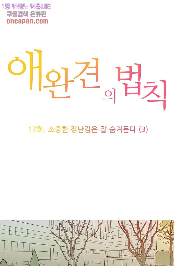 애완견의 법칙 17화 - 웹툰 이미지 1