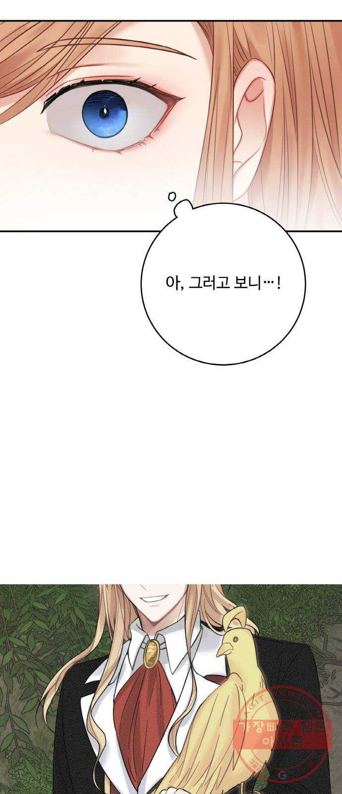 마녀와 용의 신혼일기 63화 - 웹툰 이미지 47