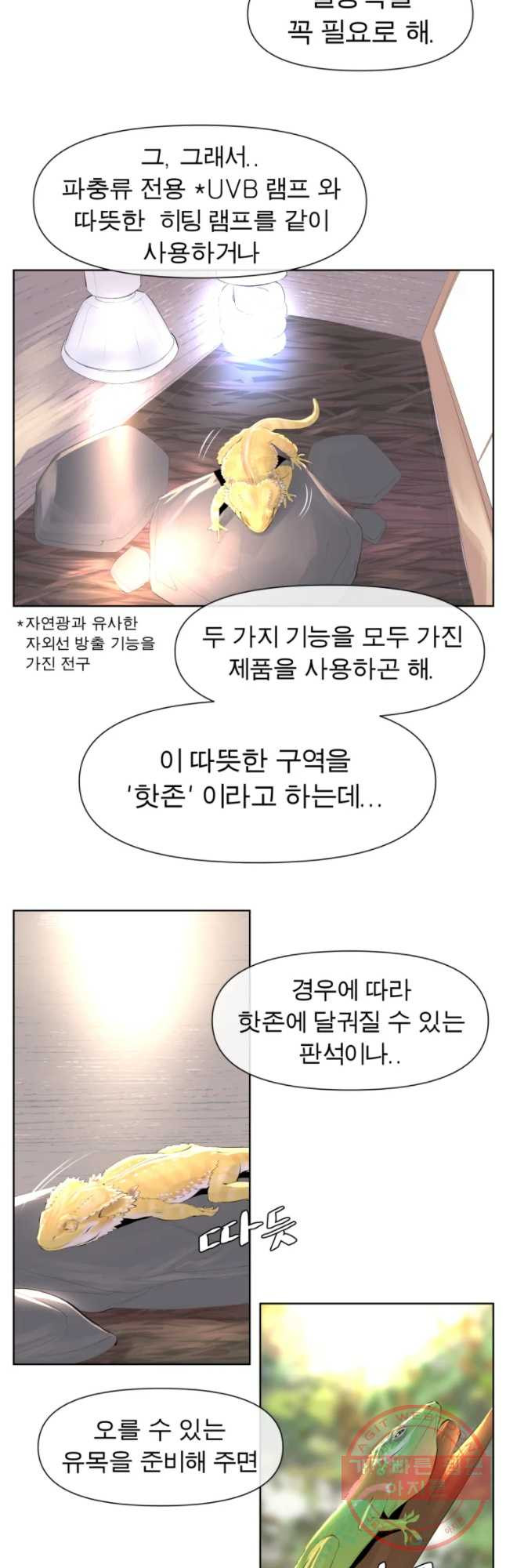 케어시트 19화 채집 - 웹툰 이미지 10