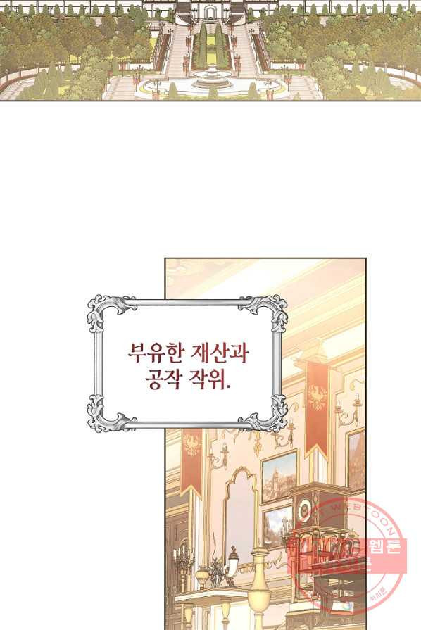 병약한? 남편의 계약 아내 1화 - 웹툰 이미지 2