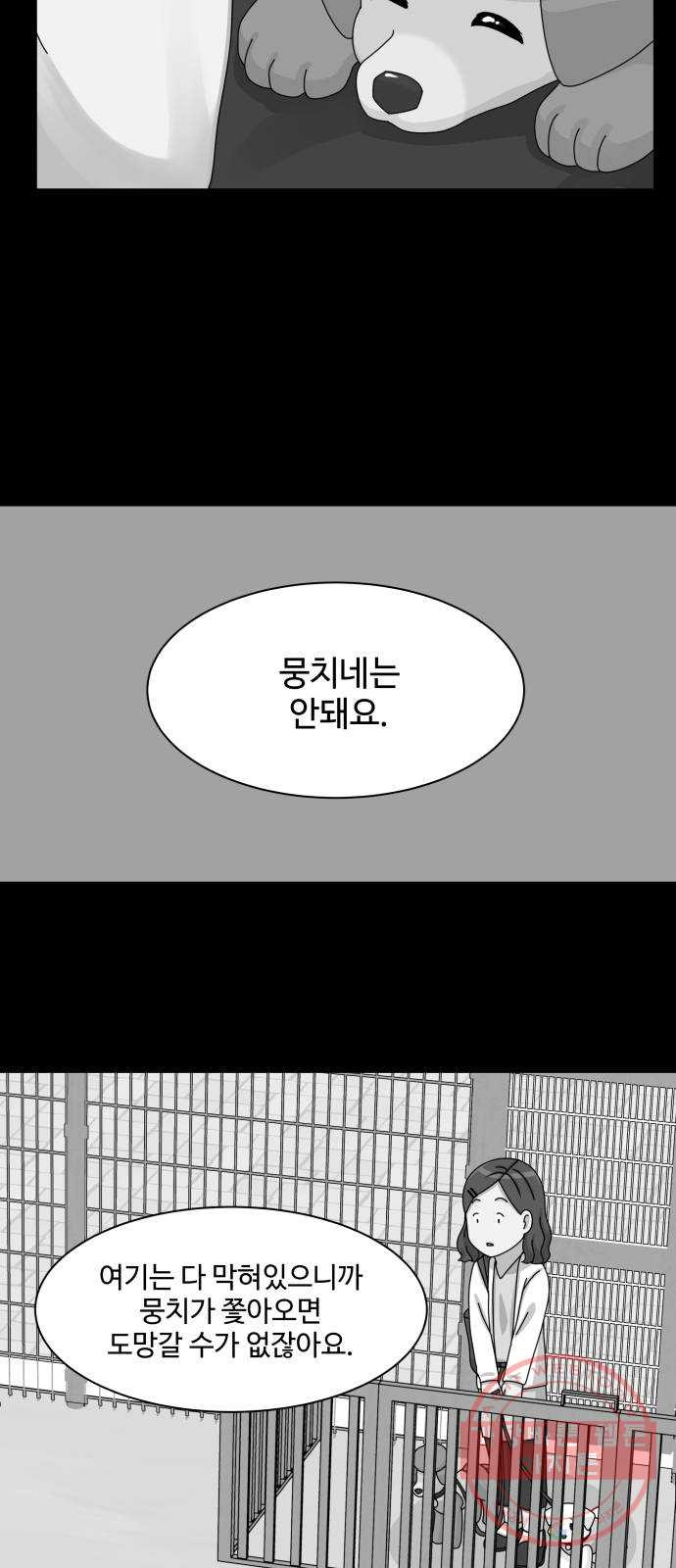 개를 낳았다 시즌2 84화 - 웹툰 이미지 39