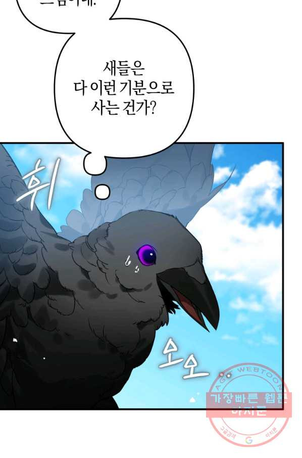 하필이면 까마귀가 되어버렸다 1화 - 웹툰 이미지 63