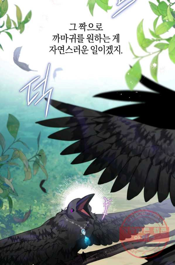 하필이면 까마귀가 되어버렸다 16화 - 웹툰 이미지 9