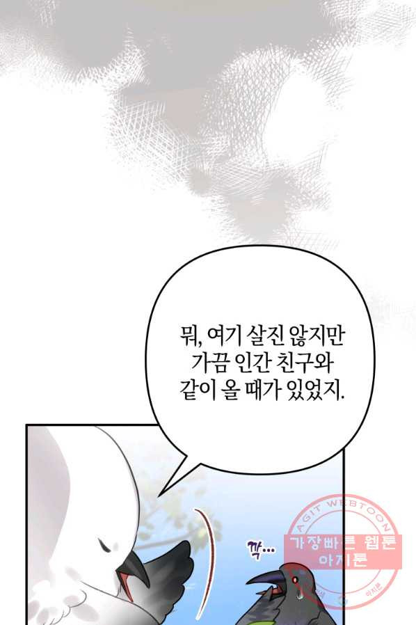 하필이면 까마귀가 되어버렸다 24화 - 웹툰 이미지 20