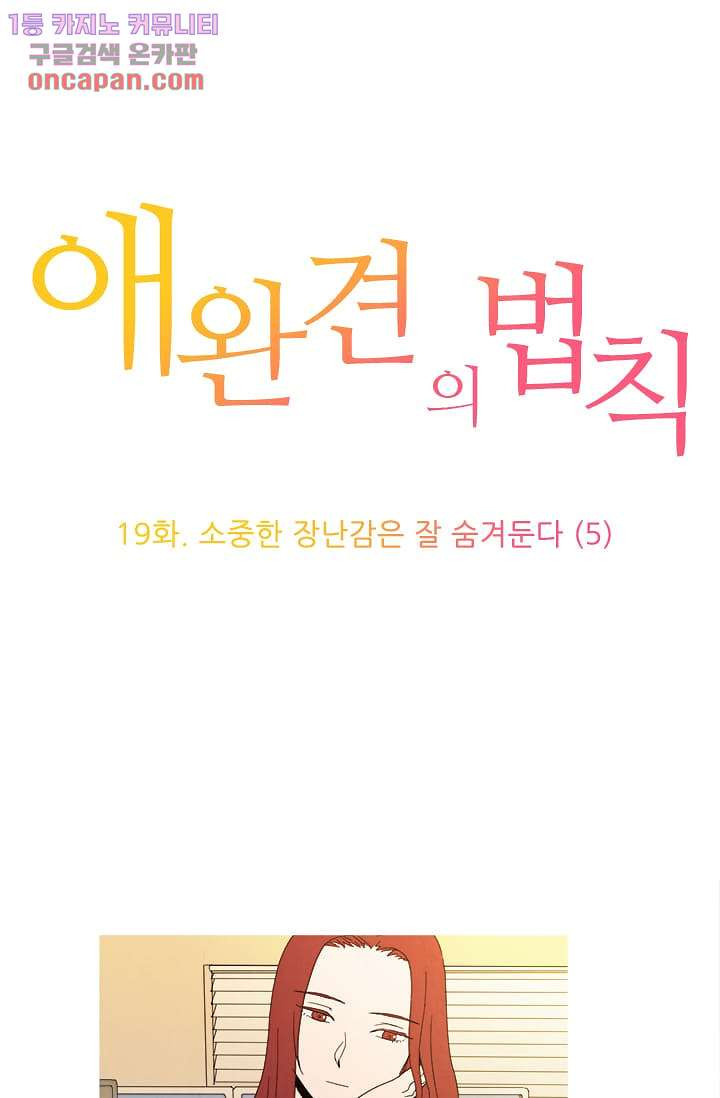 애완견의 법칙 19화 - 웹툰 이미지 1