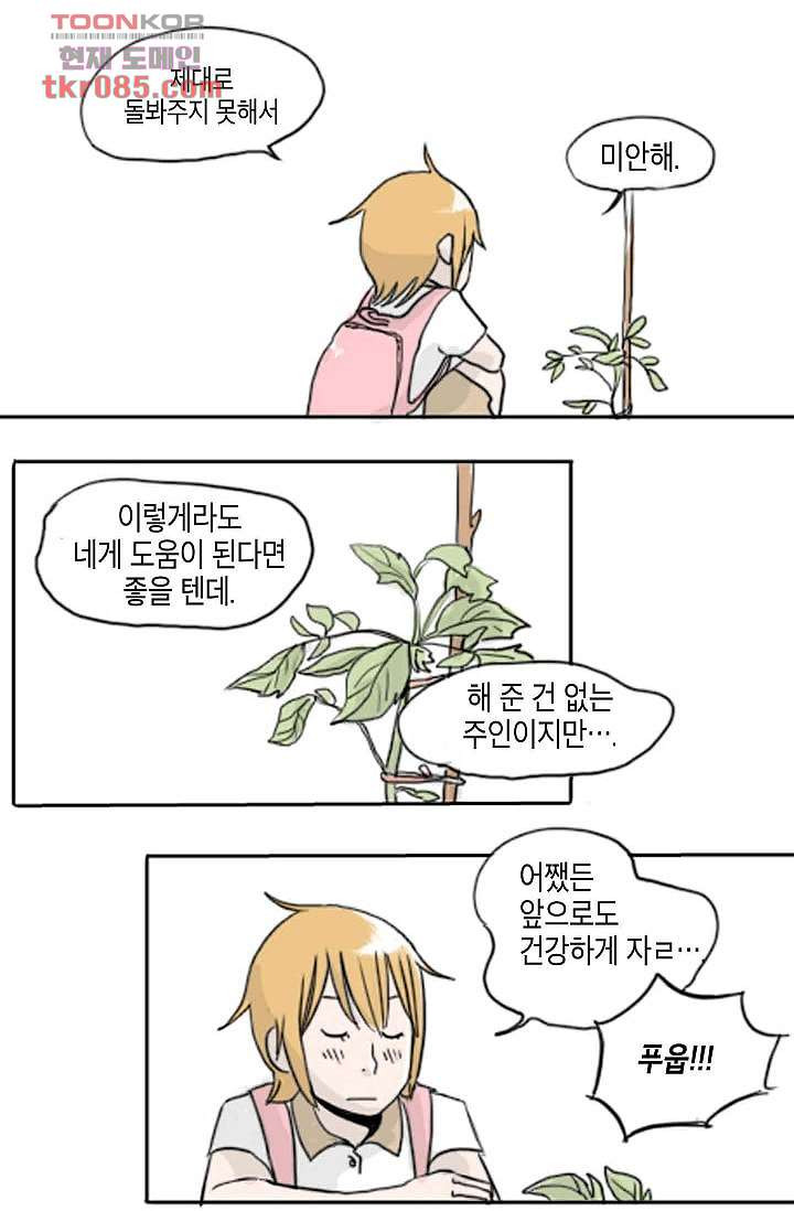 연민의 굴레 22화 - 웹툰 이미지 24