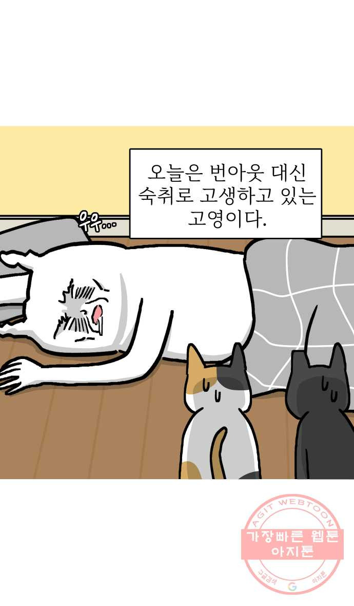 애옹식당 11화 황금빛 해장 - 웹툰 이미지 3