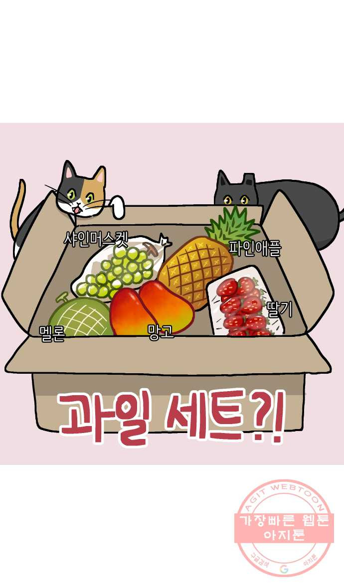 애옹식당 12화 엄마의 습격 - 웹툰 이미지 6