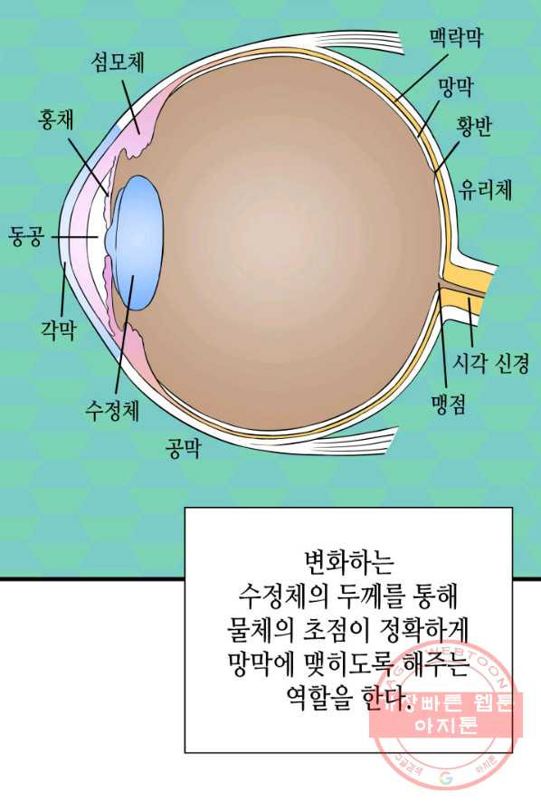 퍼펙트 써전 6화 - 웹툰 이미지 68