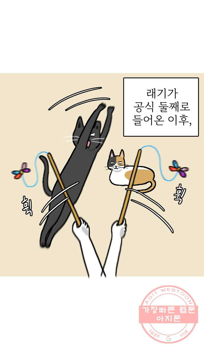 애옹식당 14화 근엄한 첫째가 될 거야 - 웹툰 이미지 2