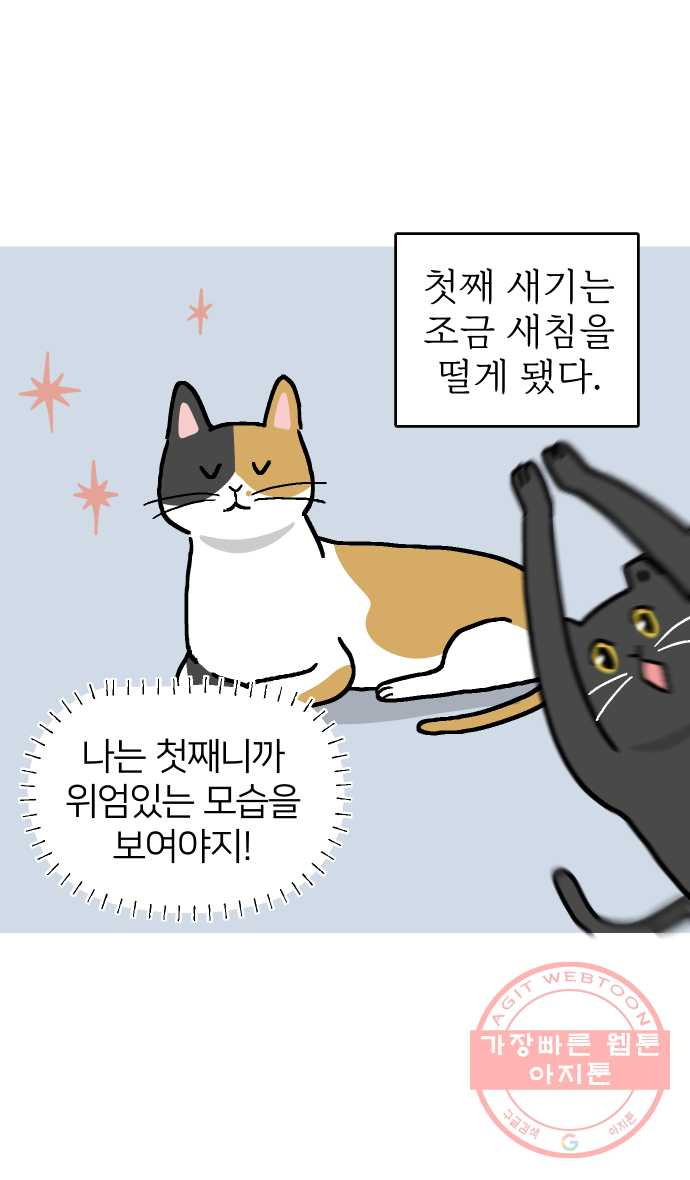 애옹식당 14화 근엄한 첫째가 될 거야 - 웹툰 이미지 3