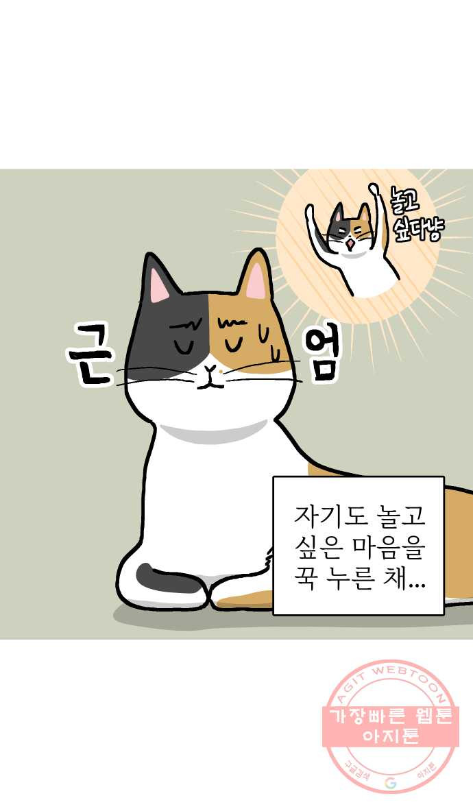 애옹식당 14화 근엄한 첫째가 될 거야 - 웹툰 이미지 4