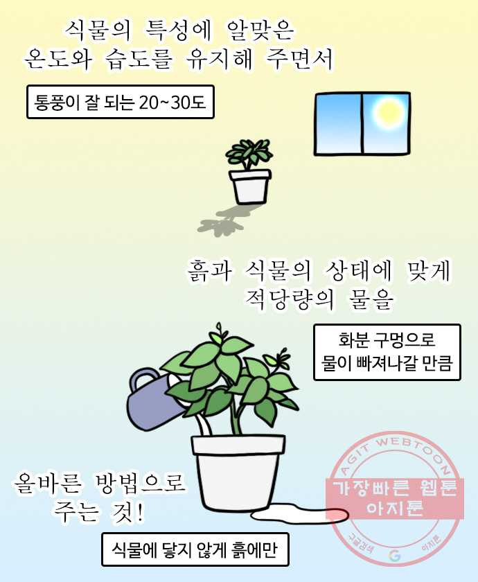 독립일기 시즌2 58화 식물을 키운다는 것 - 웹툰 이미지 12