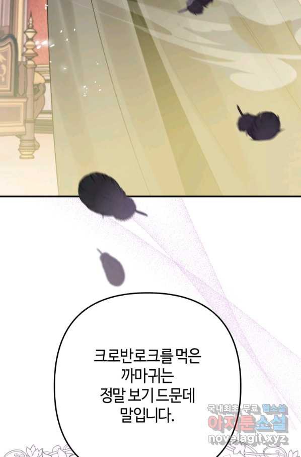 하필이면 까마귀가 되어버렸다 31화 - 웹툰 이미지 19