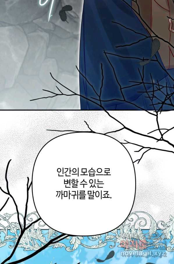 하필이면 까마귀가 되어버렸다 31화 - 웹툰 이미지 28