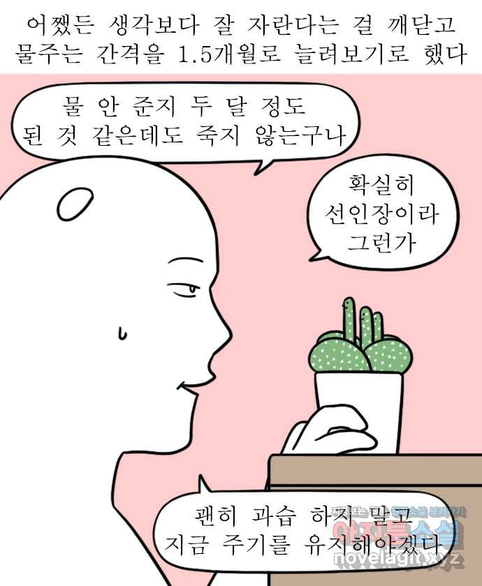 독립일기 시즌2 60화 선인장 - 웹툰 이미지 13