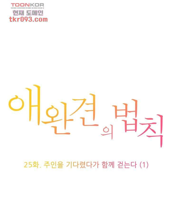 애완견의 법칙 25화 - 웹툰 이미지 1