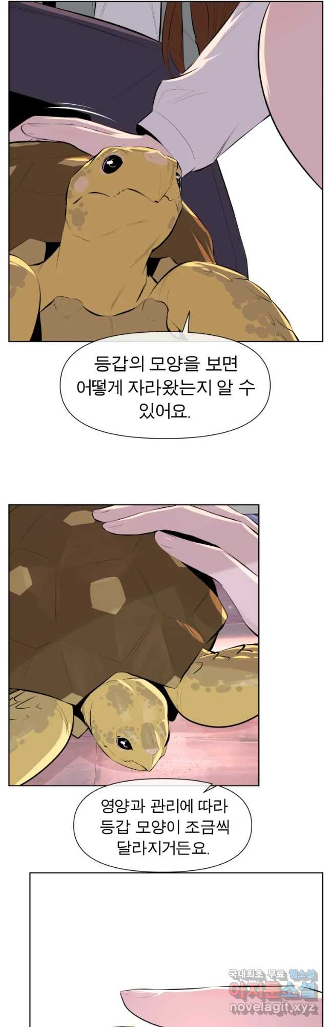 케어시트 27화 불법 - 웹툰 이미지 37