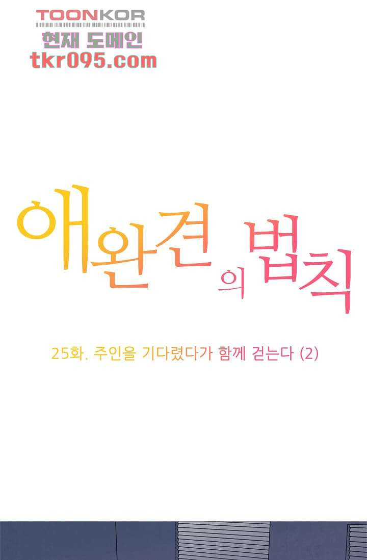 애완견의 법칙 26화 - 웹툰 이미지 1