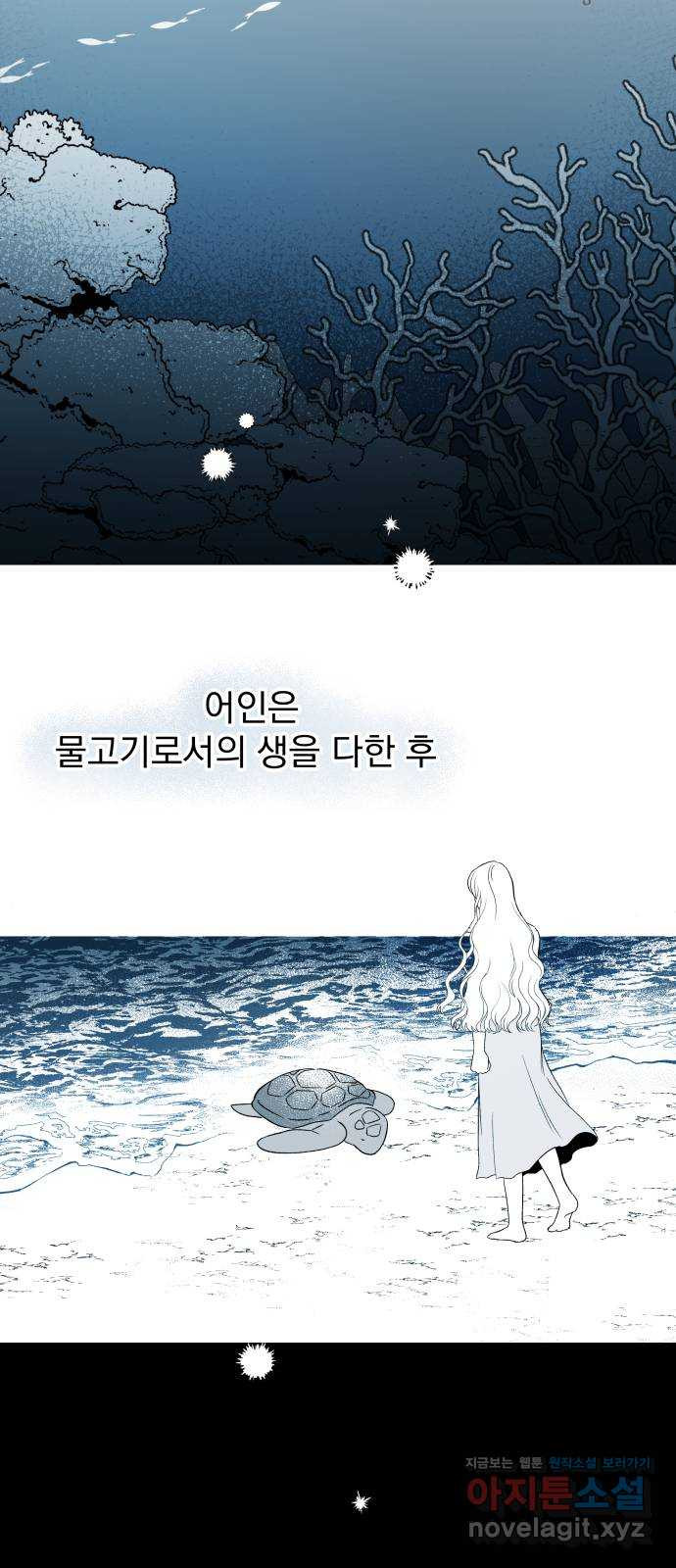 로맨틱 태평수산 3화. 우리 집에 물고기가 산다 - 웹툰 이미지 26