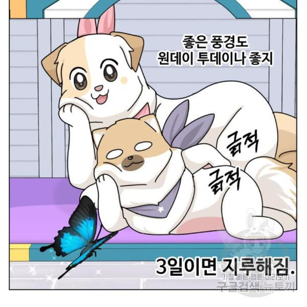 개를 낳았다 시즌2 95화 - 웹툰 이미지 22