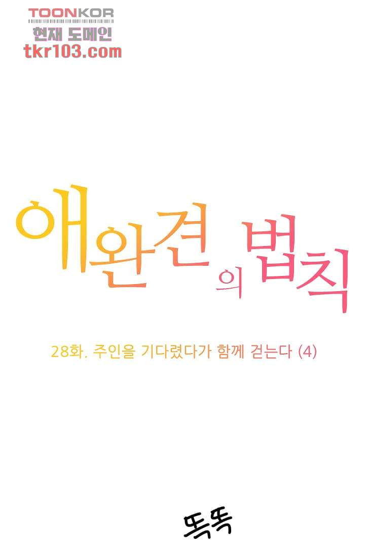 애완견의 법칙 28화 - 웹툰 이미지 1