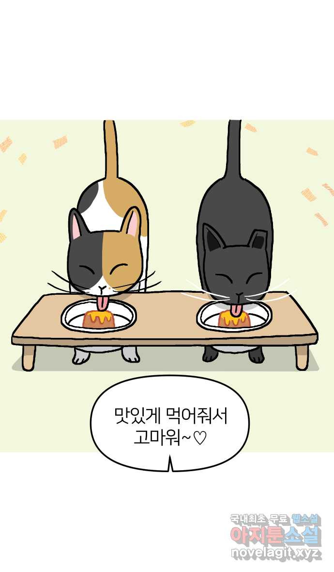 애옹식당 21화 우리 처음 만난 날 - 웹툰 이미지 35