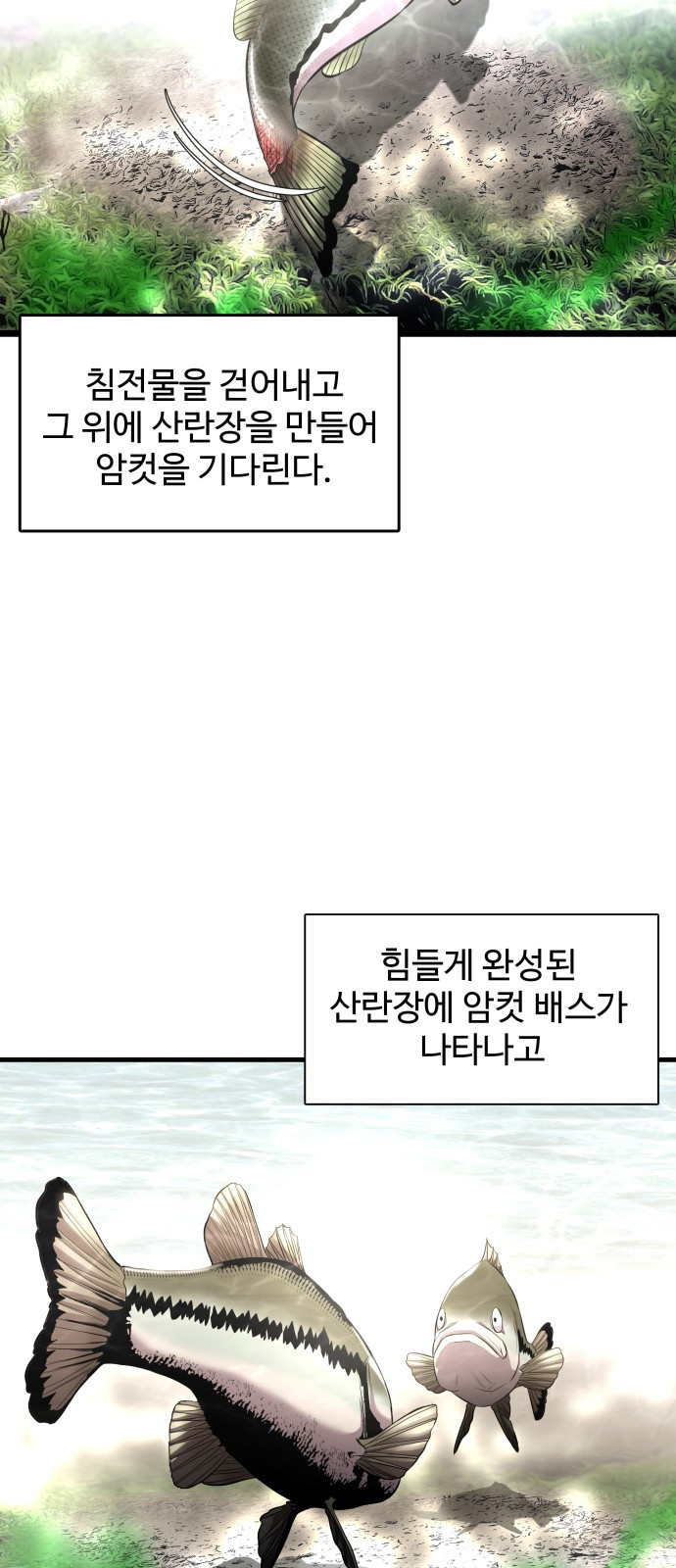 물고기로 살아남기 3화 - 웹툰 이미지 24