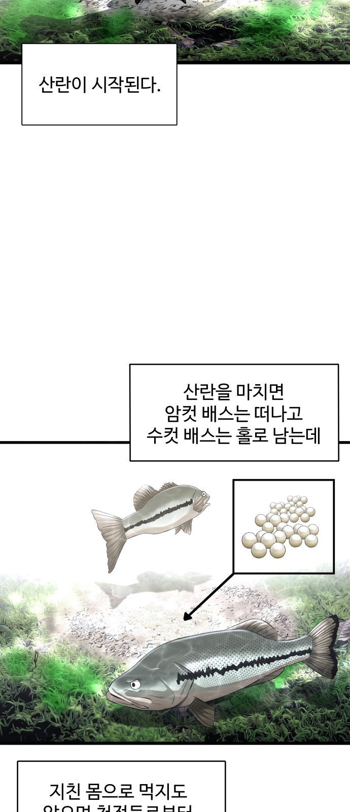 물고기로 살아남기 3화 - 웹툰 이미지 25