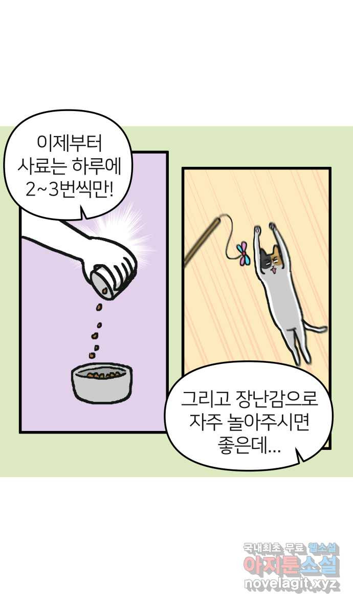 애옹식당 22화 건강검진 DAY - 웹툰 이미지 32