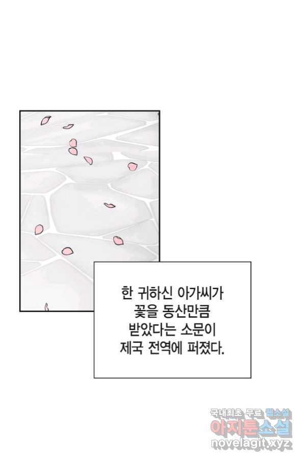 스텔라를 위하여 41화 - 웹툰 이미지 54