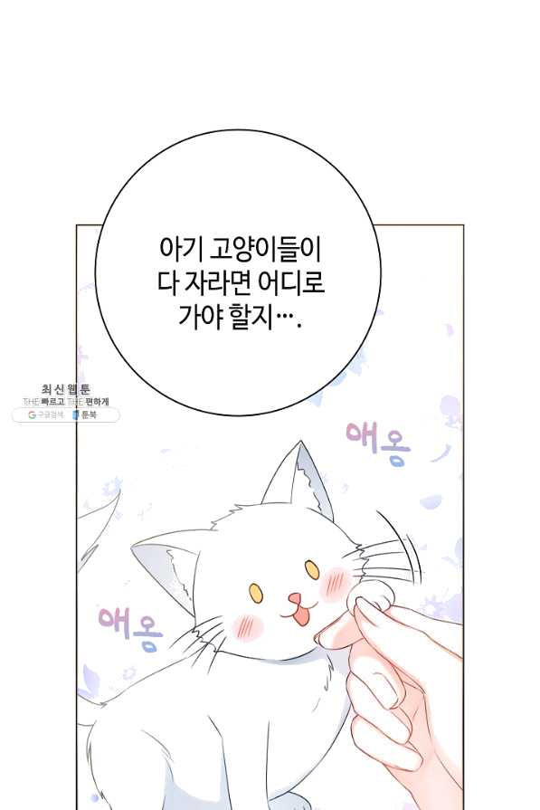 병약한? 남편의 계약 아내 35화 - 웹툰 이미지 19