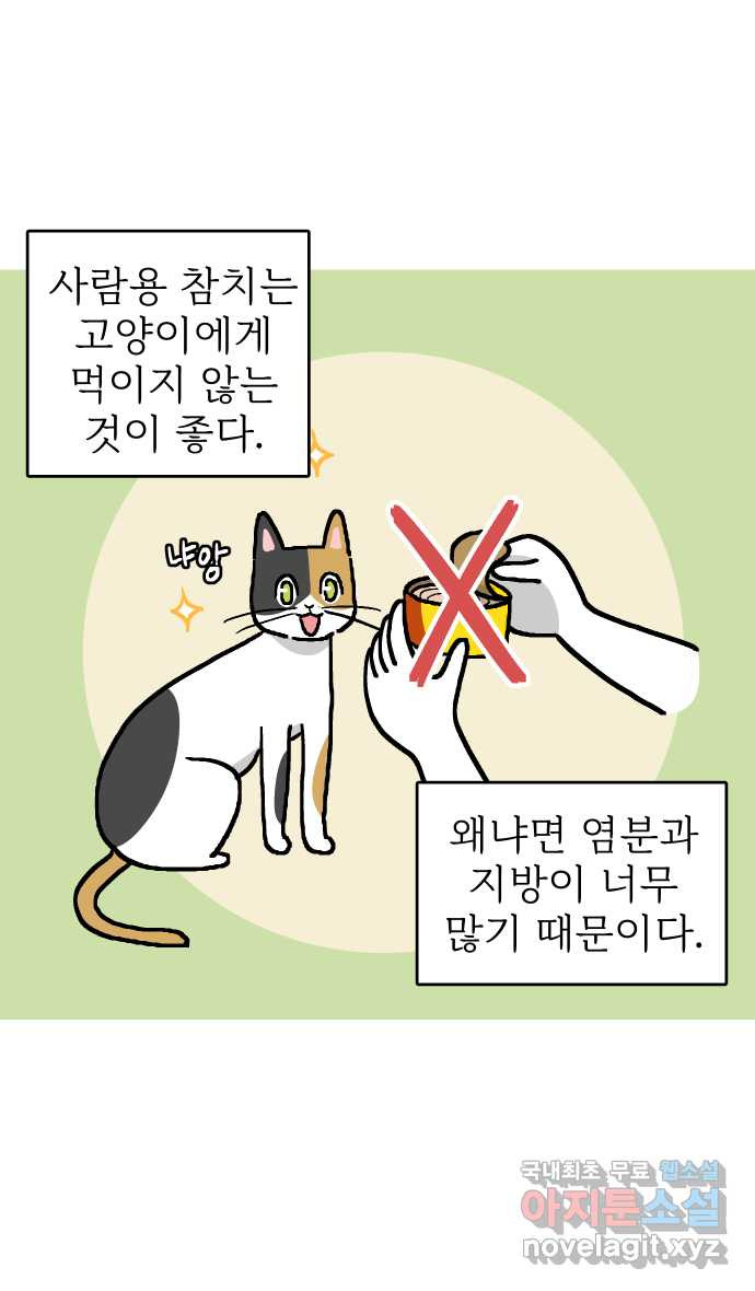 애옹식당 26화 참치는 못 참지 - 웹툰 이미지 2