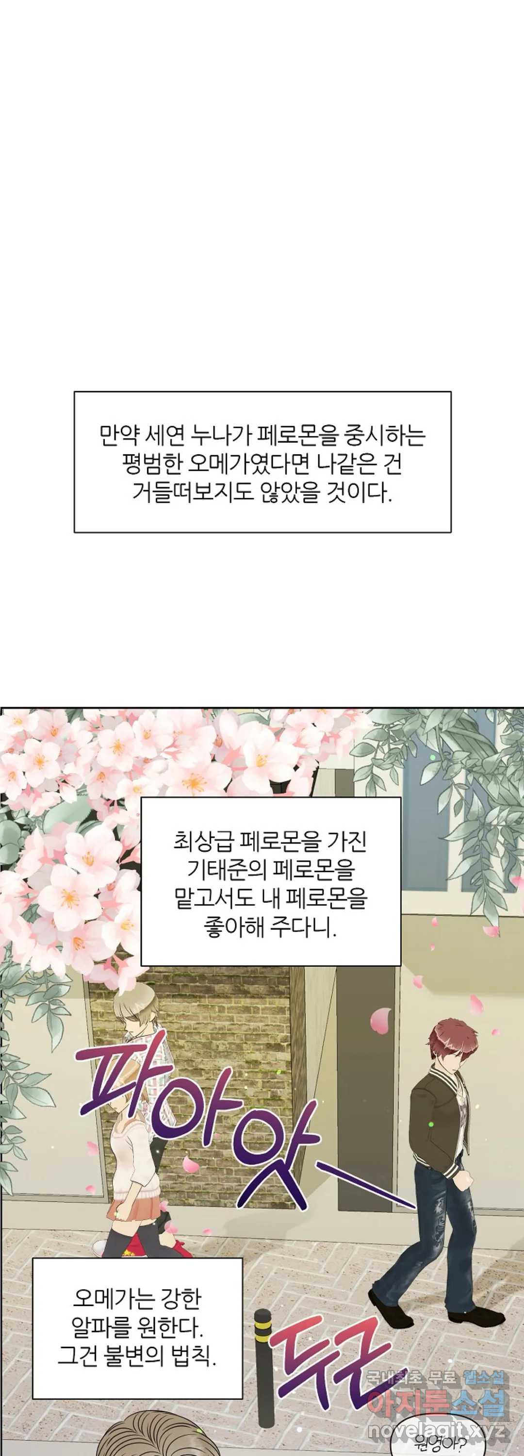 어느 알파랑 할래요 14화 - 웹툰 이미지 49