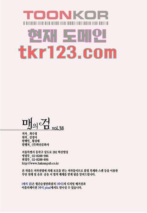 매의 검 38화 - 웹툰 이미지 21