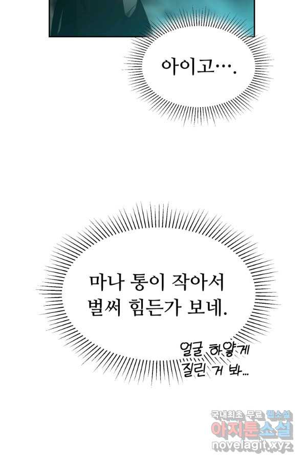 만렙으로 사는 법 28화 - 웹툰 이미지 73