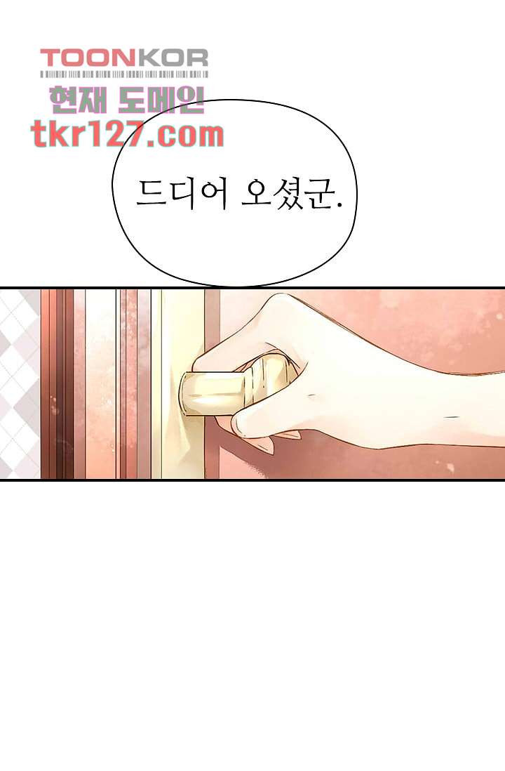 사랑은 앵초색 37화 - 웹툰 이미지 8