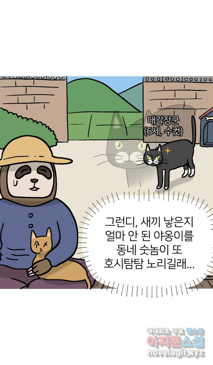 애옹식당 34화 검은 고양이와의 인연(2) - 웹툰 이미지 35