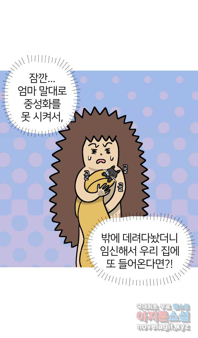 애옹식당 35화 검은 고양이와의 인연(3) - 웹툰 이미지 8