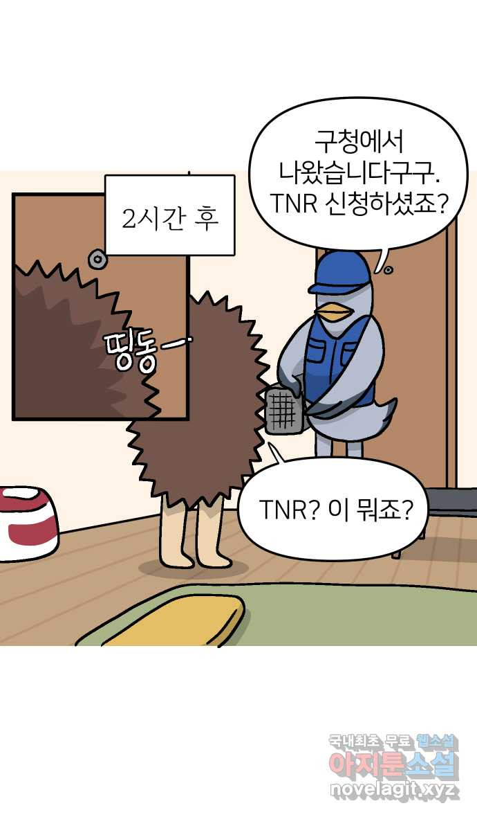 애옹식당 35화 검은 고양이와의 인연(3) - 웹툰 이미지 11