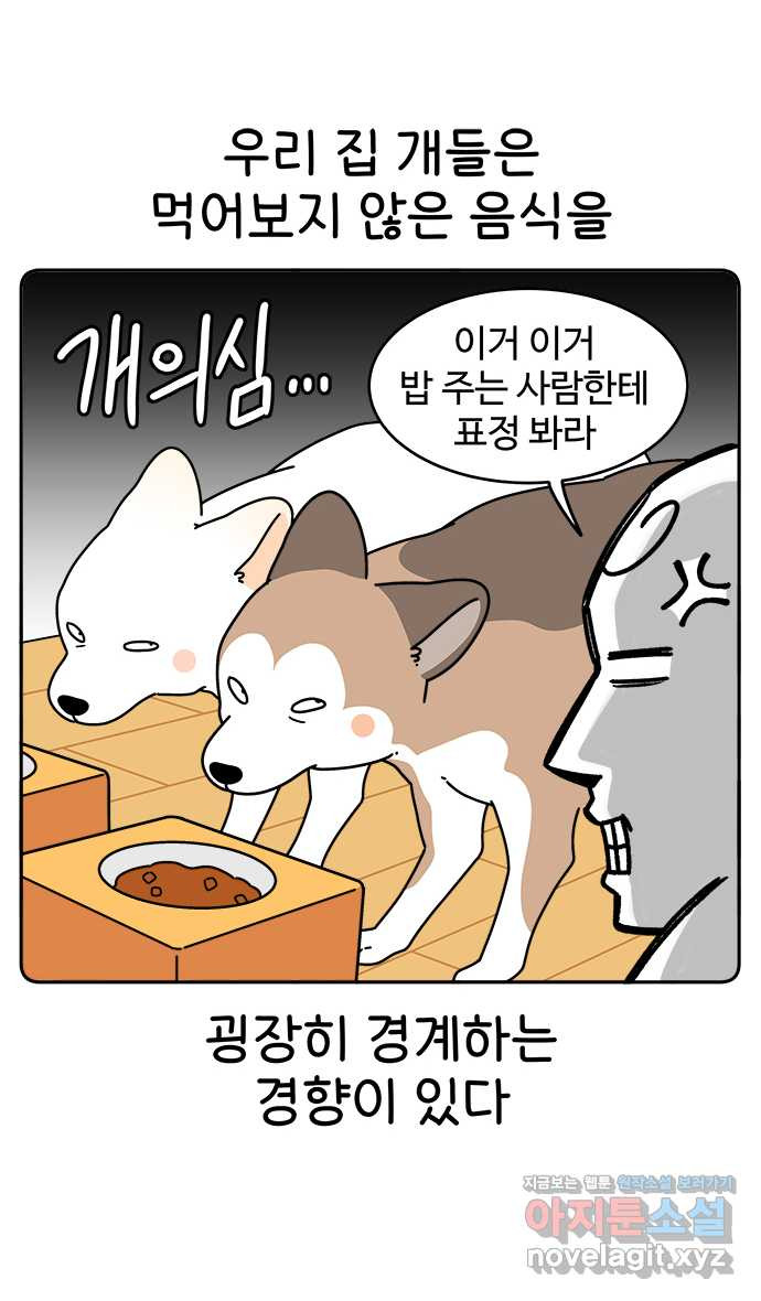 먹는 인생 64화 레밍턴 케이크 - 웹툰 이미지 1